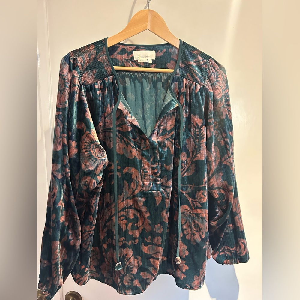 Anthropologie Teal and Pink Velvet Blouse